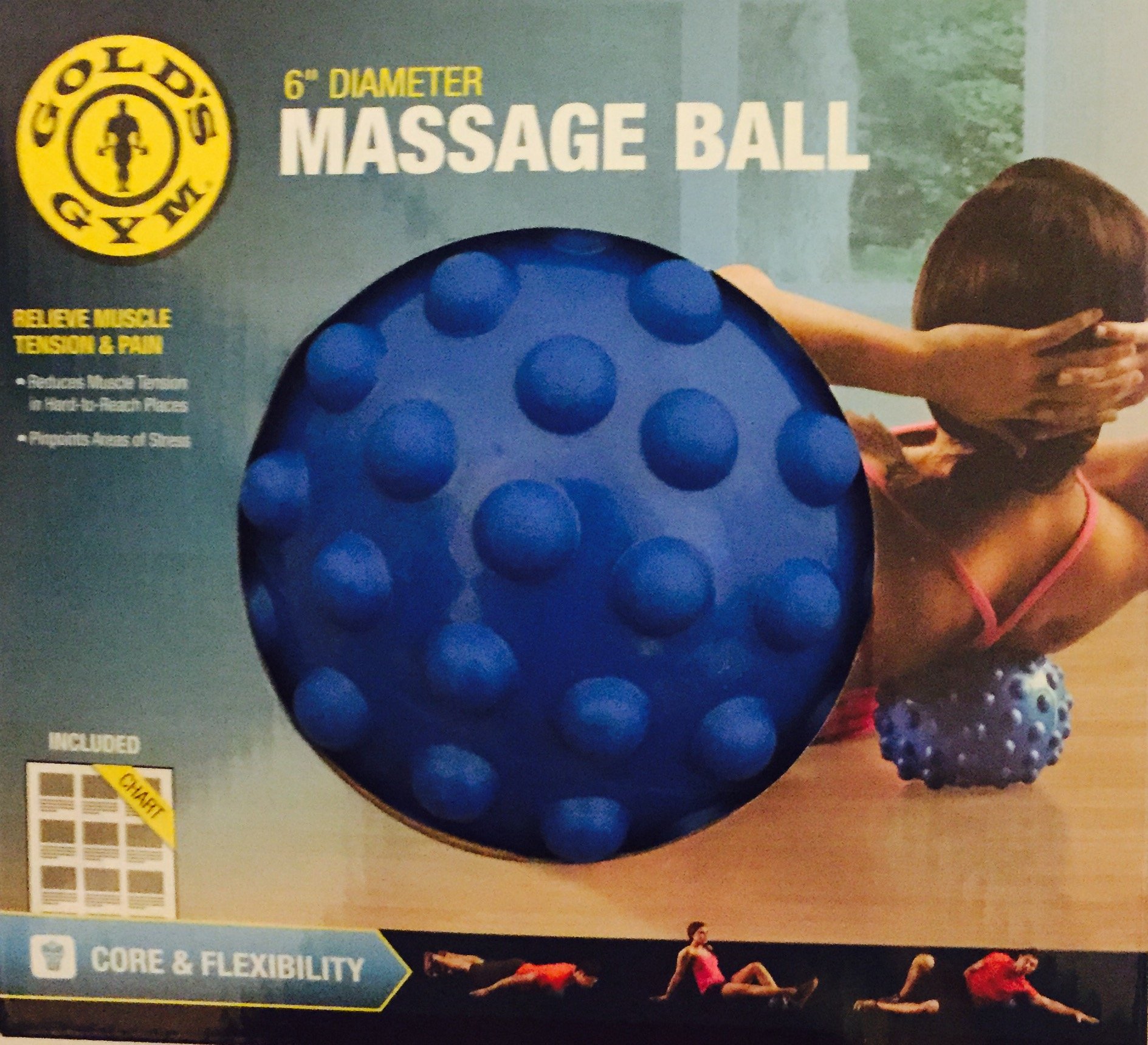 gold's gym exercise ball