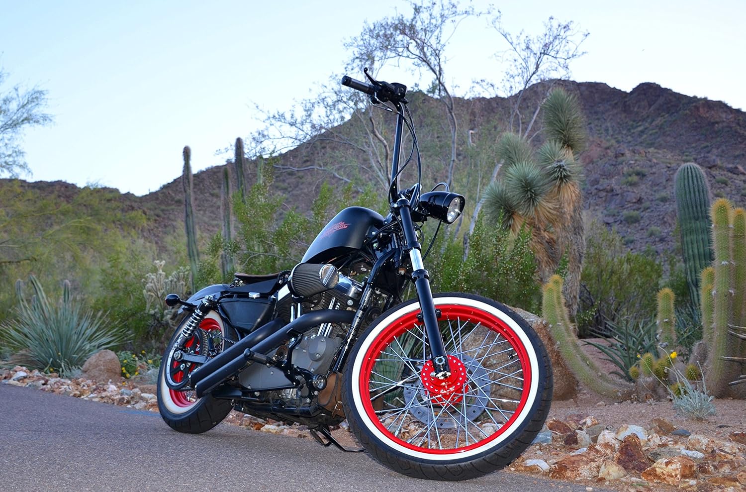 harley davidson 48 chopper