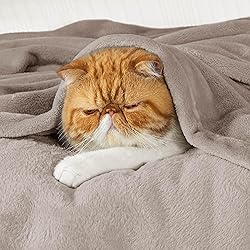 Bedsure Oversized King Fleece Blanket