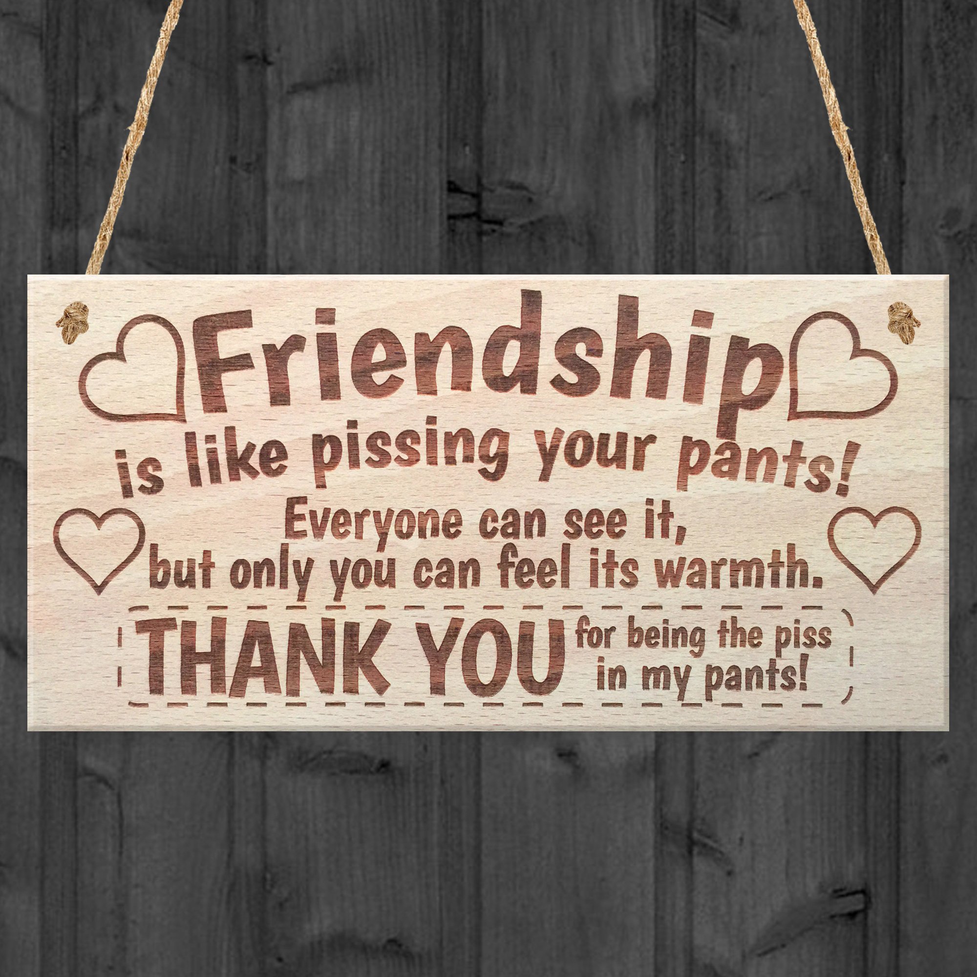 Friendship Sign Best Friend Plaque Gift Shabby Chic Heart & Thank You - READ ME