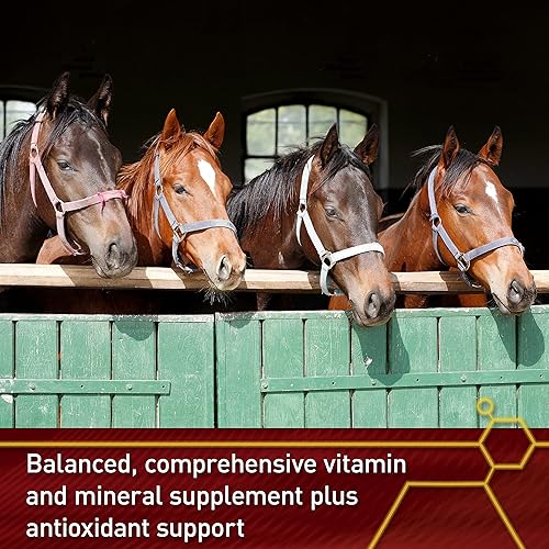 Vita Flex Pro Accel Lifetime Health & Wellness Formula For Horses – 5 Lb Bucket, Vitamin & Mineral Supplement