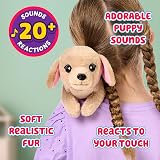 Little Live Pets Buddy Retriever Mini Puppy 20+ Sounds Basket Bed view 3