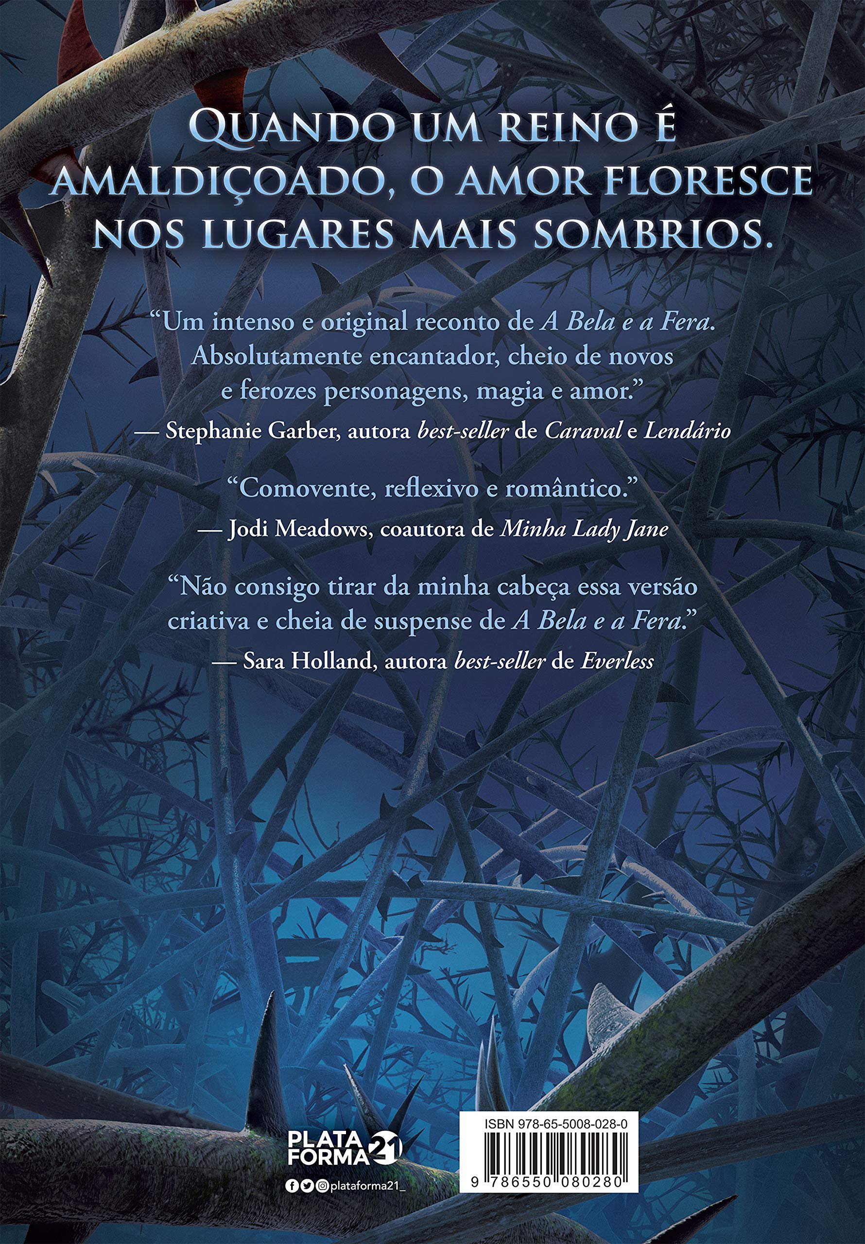 Livro 'Sombria e Solitária Maldição' por Brigid Kemmerer