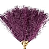 Acfruits Dark Purple Pampas Grass Small, 30 Pcs