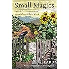 Small Magics: Practical Secrets from an Appalachian Village Witch