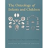 Osteology of Infants And Children
