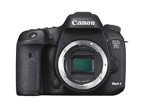 Canon EOS 7D Mark II - Cámara Digital (Cuerpo de la cámara SLR ...