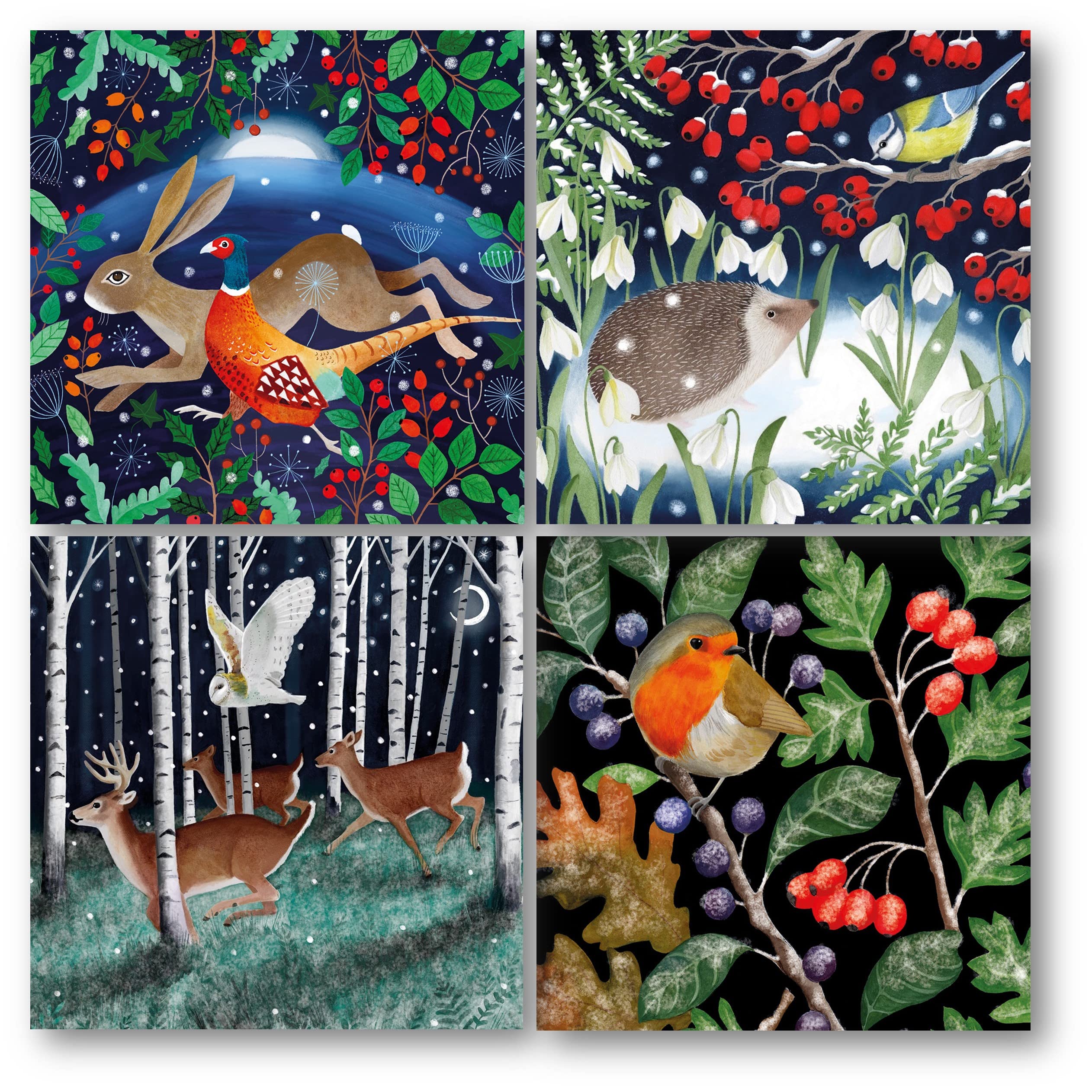 Museums & Galleries Charity Christmas Cards Pack of 20 - Assorted Designs - Woodland Animals - 4 x 5 Winter Wildlife Designs - Festive Christmas Cards Multipack - In Aid of UK Charities