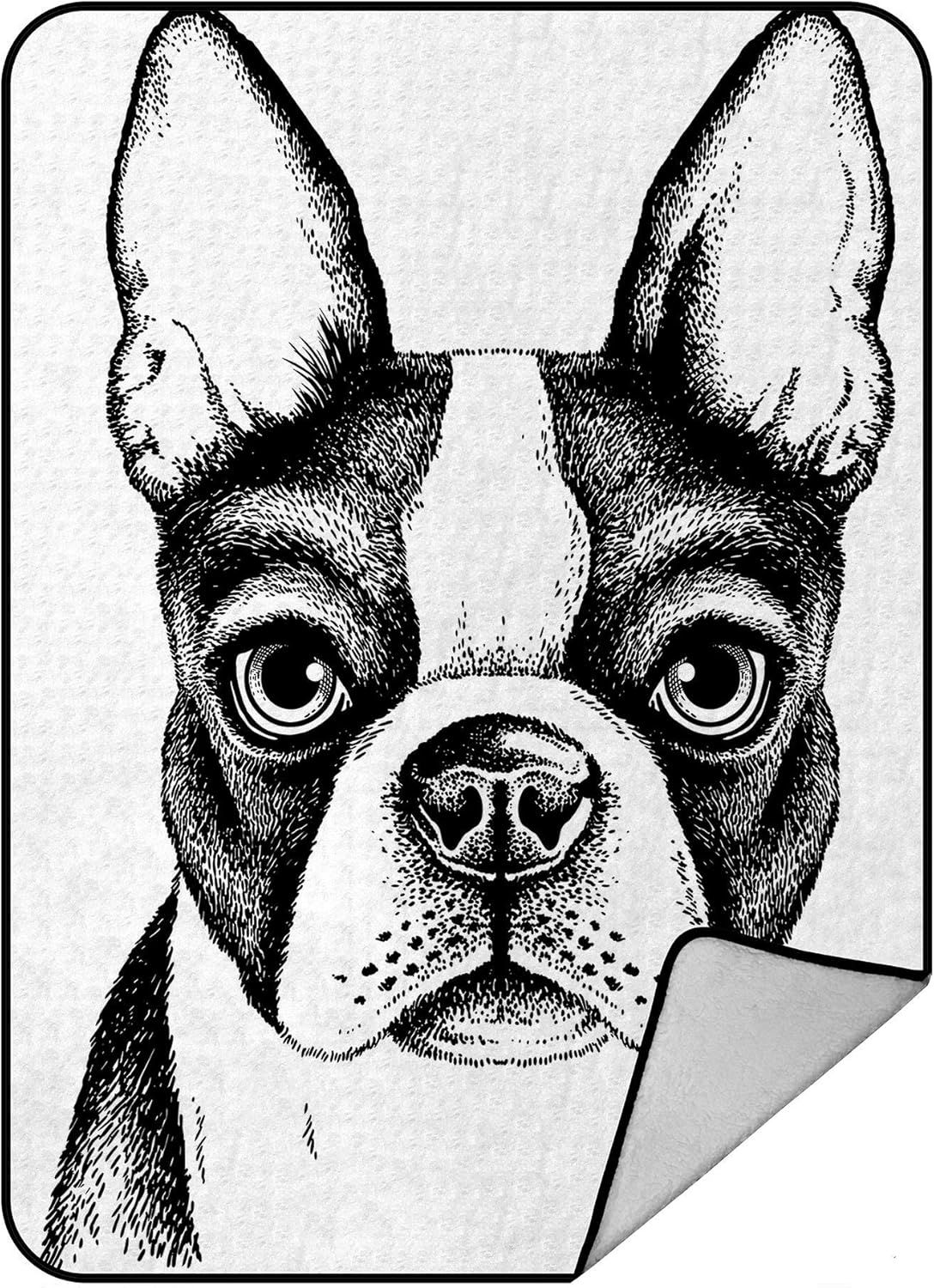 fawn and white boston terrier