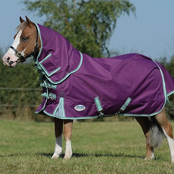 最大75％オフ！ Amigo Stock Horse Turnout Blanket 76
