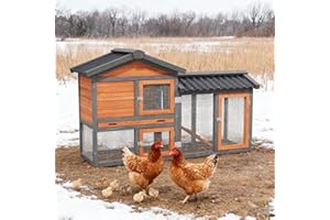 XILISHPPECXECO Chicken Coop, Chicken Run,Small Wooden Duck Coop Outdoor 2-Tier Hen House All Weather Used Poultry Quail Cage Rabbit Pet Hutch House with Ramp for Small Animals Outside (Brown with Black)