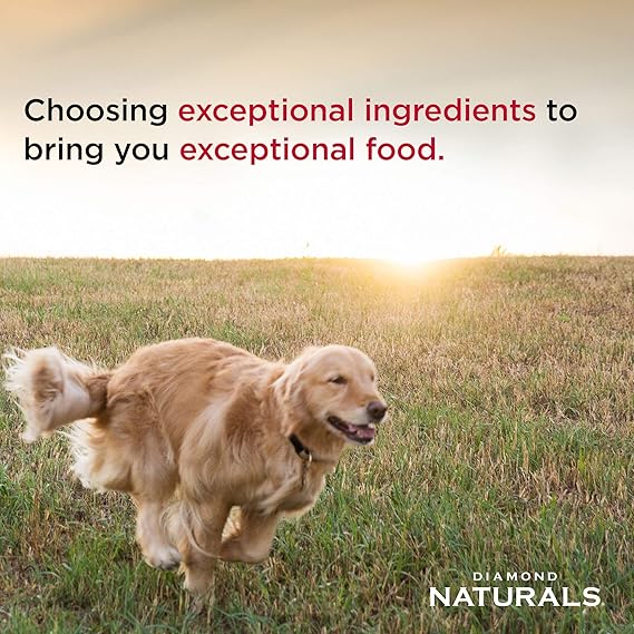 diamond naturals dog food beef and rice