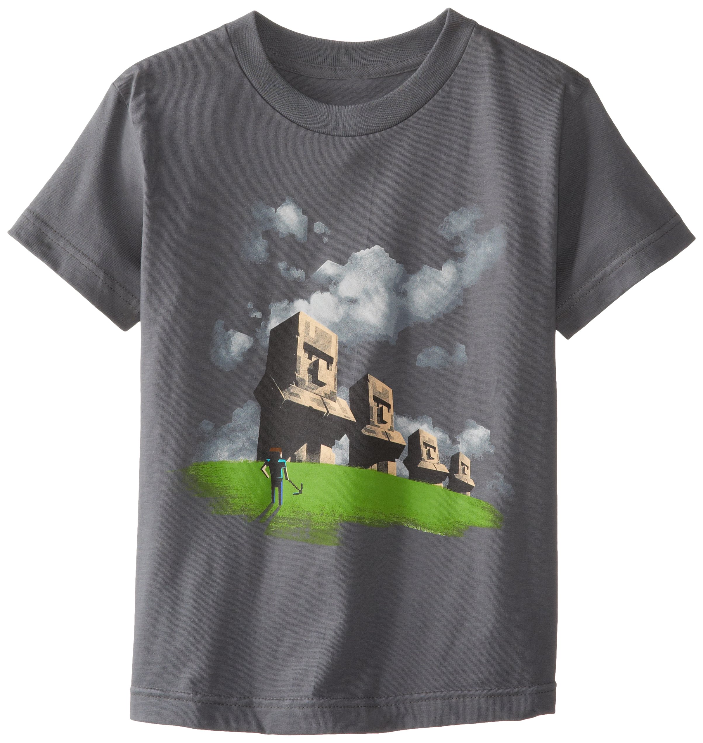 Minecraft Boys Statues Youth Tee