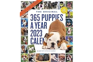 WORKMAN PUBLISHING COMPANY 365 Puppies-A-Year Picture-A-Day Wall Calendar 2023: Absolutely Spilling Over With Puppies