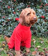 Pet Wiz Warm Four-Legged Dog Fleece Coral X-Large Weather-Resistant view 2