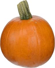 Sugar Pie Pumpkin (Approx. 2-4 lbs.)