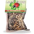 Pre-Fed Live Ladybugs for Aphid Control | Hippodamia Convergens | Mesh Bag (6000)