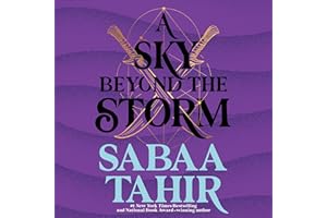 A Sky Beyond the Storm