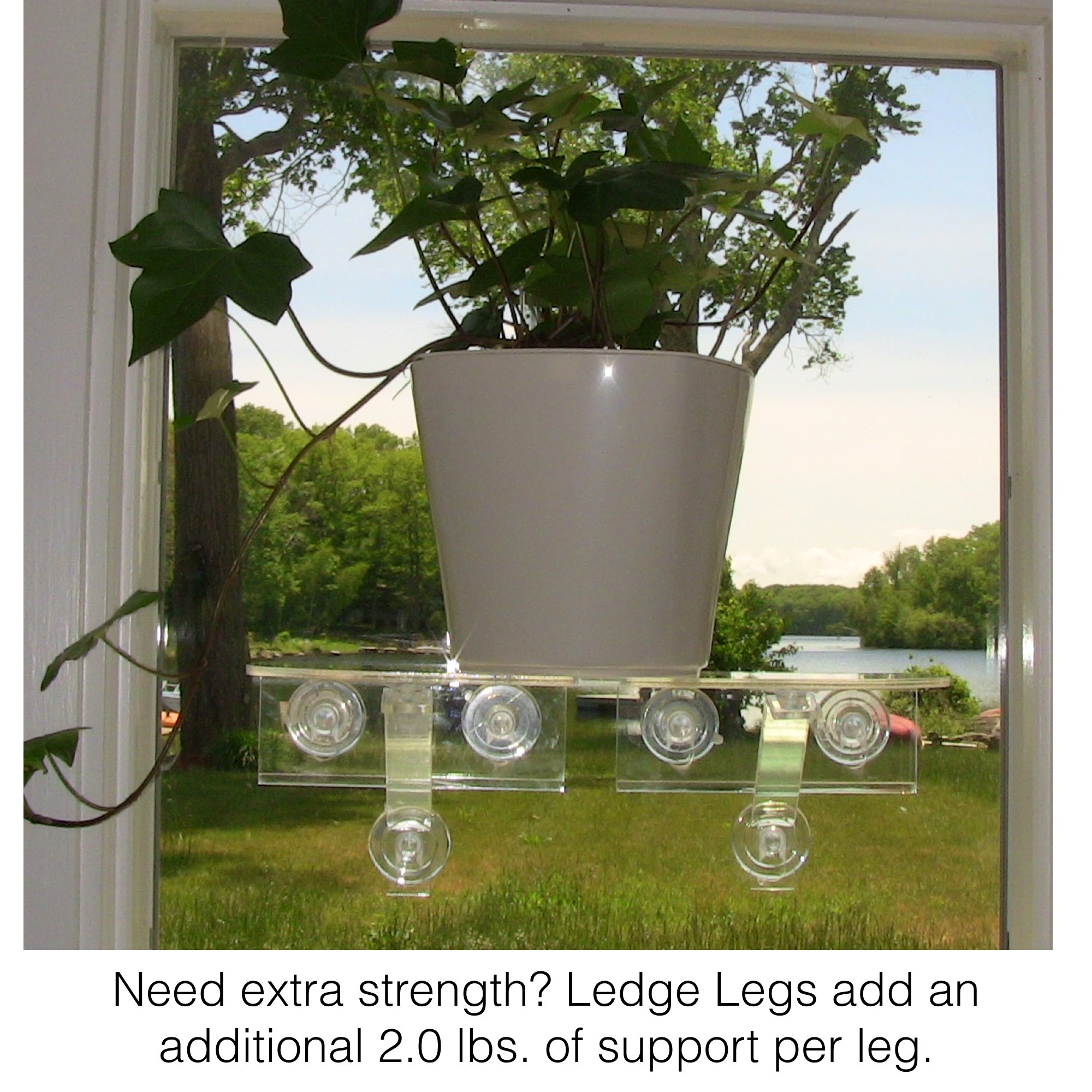Double Veg Ledge Suction Cup Window Shelf Create an indoor garden