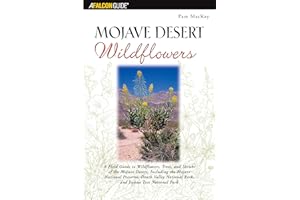 Mojave Desert Wildflowers: A Field Guide to Wildflowers, Trees, and Shrubs of the Mojave Desert, Including the Mojave National Preserve, Death Valley National Park, and Joshua (Falcon Guide)