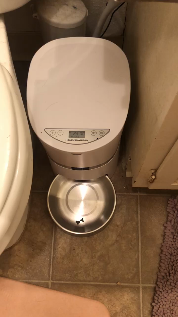 Amazon Com Customer Reviews Honeyguaridan A36 Automatic Cat