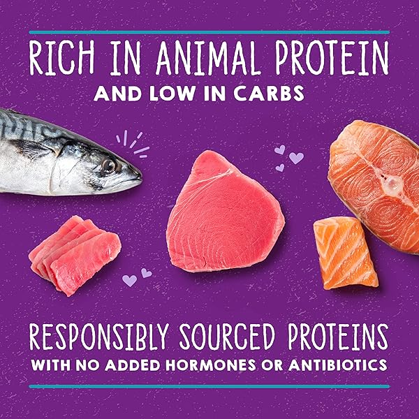 STELLA & CHEWY’S CARNIVORE CRAVINGS PURRFECT PATÉ – PREMIUM GRAIN-FREE WET CAT FOOD – SALMON, TUNA & MACKEREL RECIPE – HIGH PROTEIN WITH BONE BROTH – PERFECT FOR PICKY EATERS – 5.2OZ CANS (8 PACK)