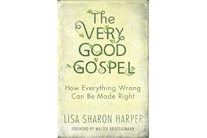 The Very Good Gospel: How Everything Wrong Can Be Made Right