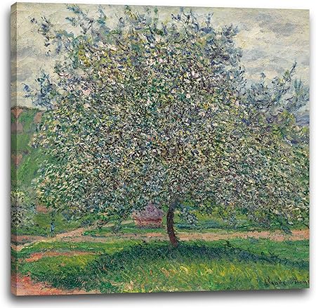 Printed Paintings Stampa Su Tela 40x40cm Claude Monet Albero Di Mele Amazon It Casa E Cucina