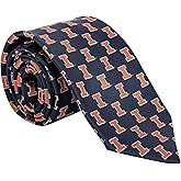 Desert Cactus University of Illinois Neck Tie UIUC Fighting Illini 100% Polyester Necktie with Logo, Officially Licensed (Style B)