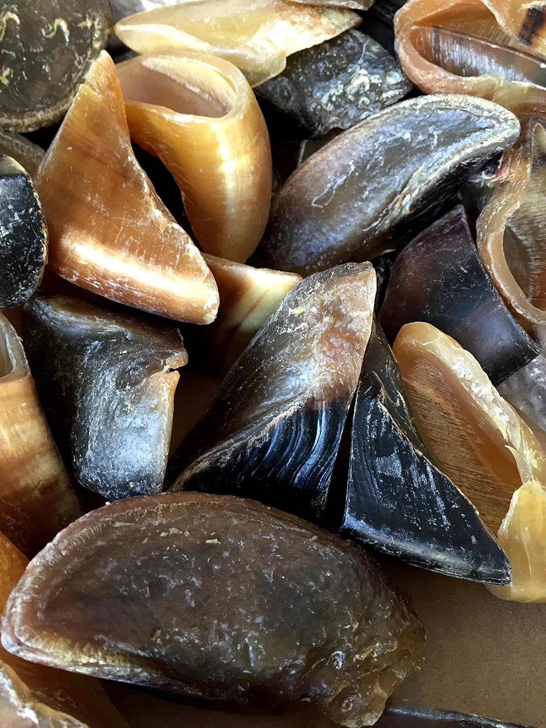 Smoked Flavor Hooves for Dogs 100 Natural Bulk Dog Chews Beef Hoof