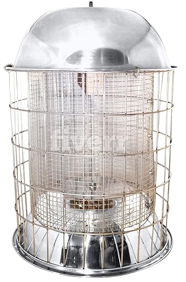Best Squirrel Proof Bird Feeder Large Simple To Hang Or Pole