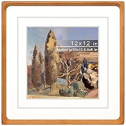 Gdfmsc Square 12x12 Picture Frame with Mat for