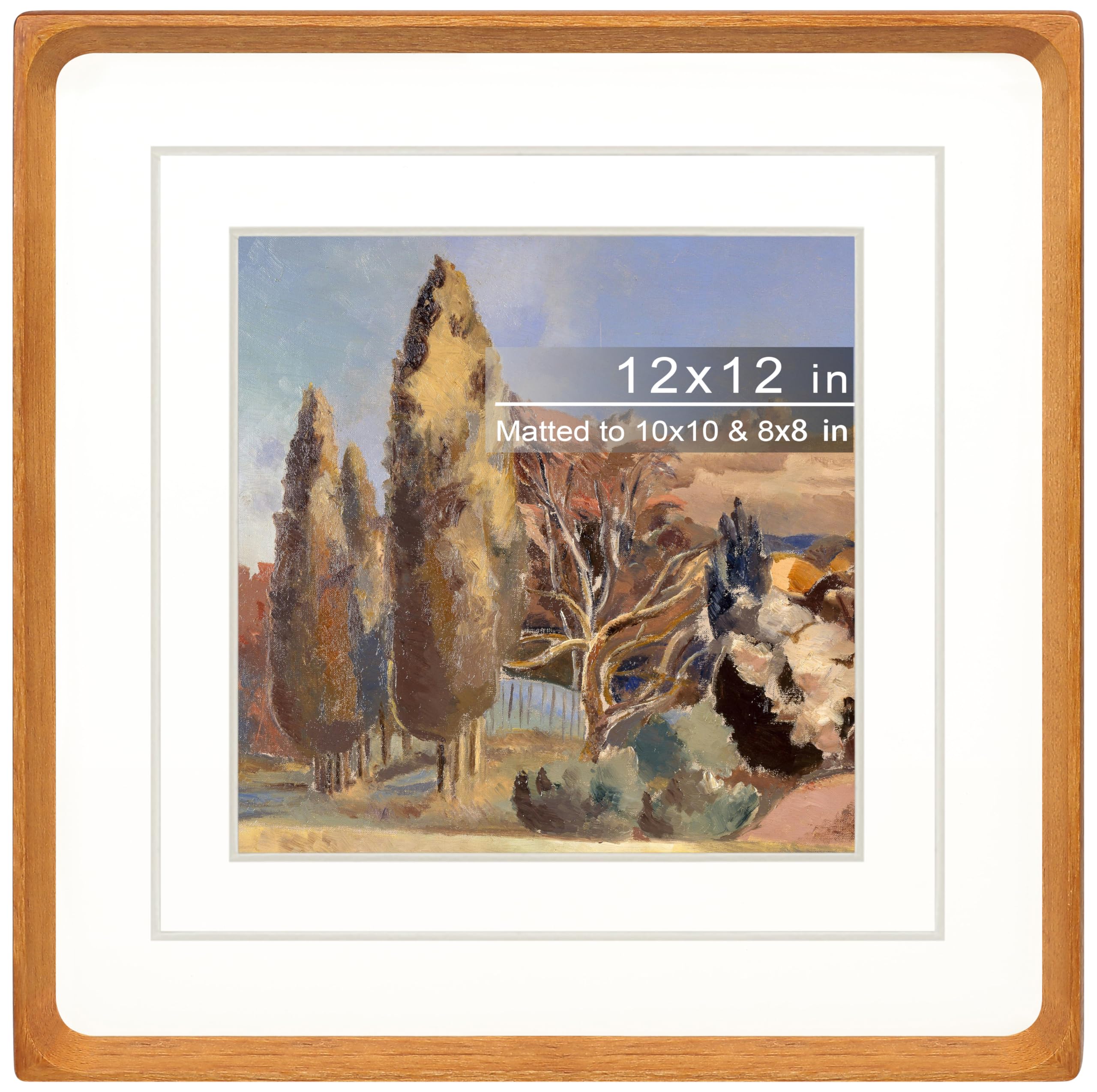 Gdfmsc Square 12x12 Picture Frame with Mat for