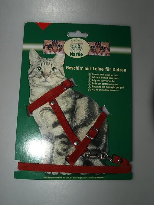 amazon cat harness and lead