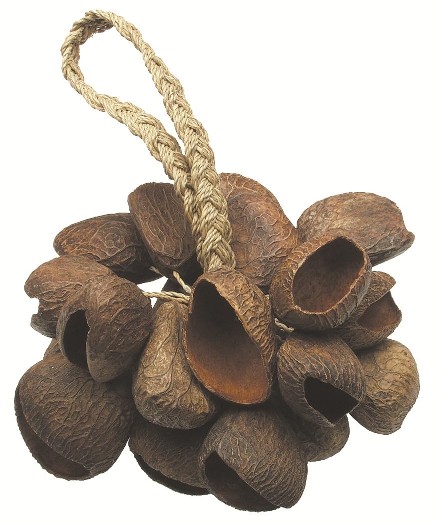 TOCA Seed Shell Shaker T-SS, Brown