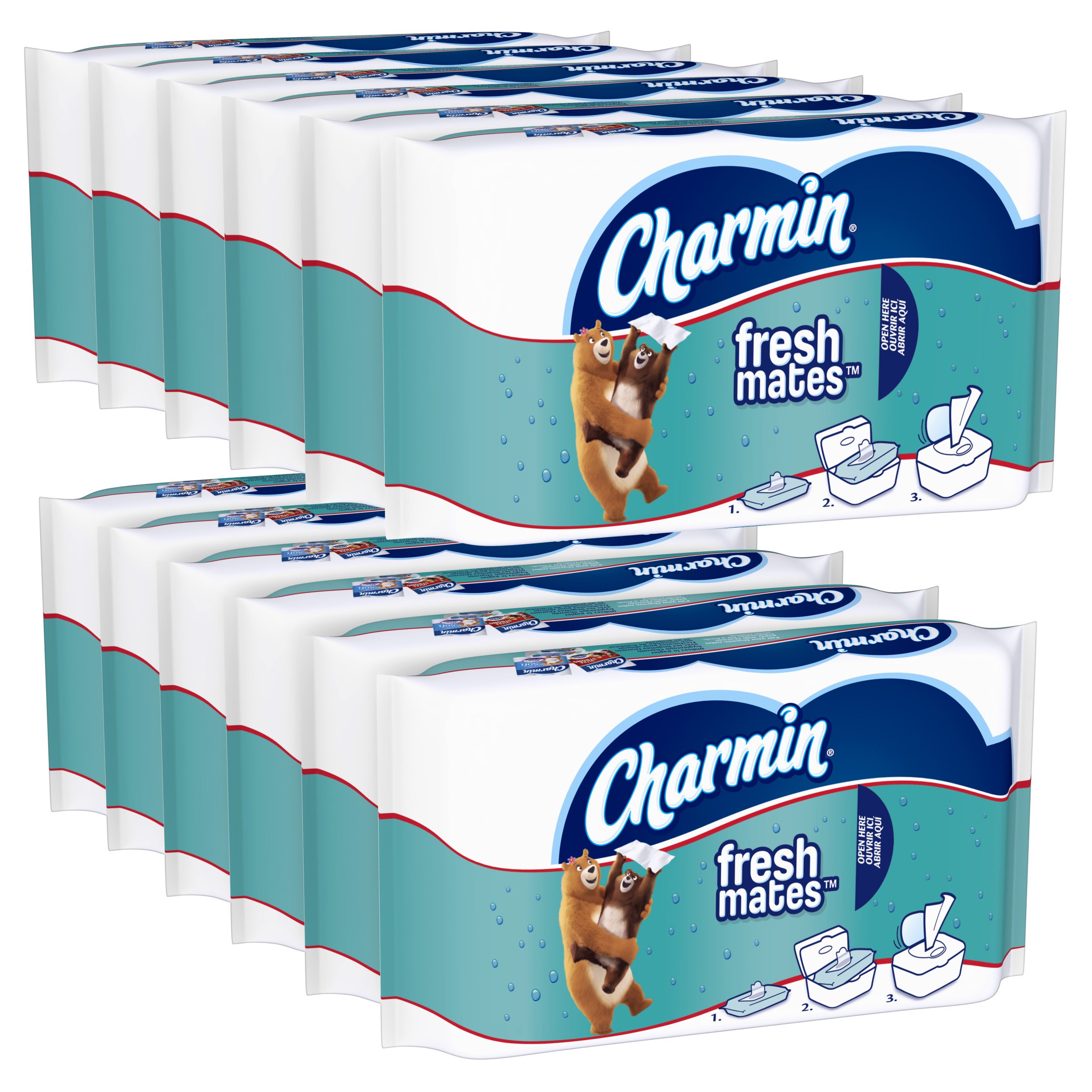 Galleon Charmin Freshmates Flushable Wet Wipes, 40 Count (Pack Of 12)