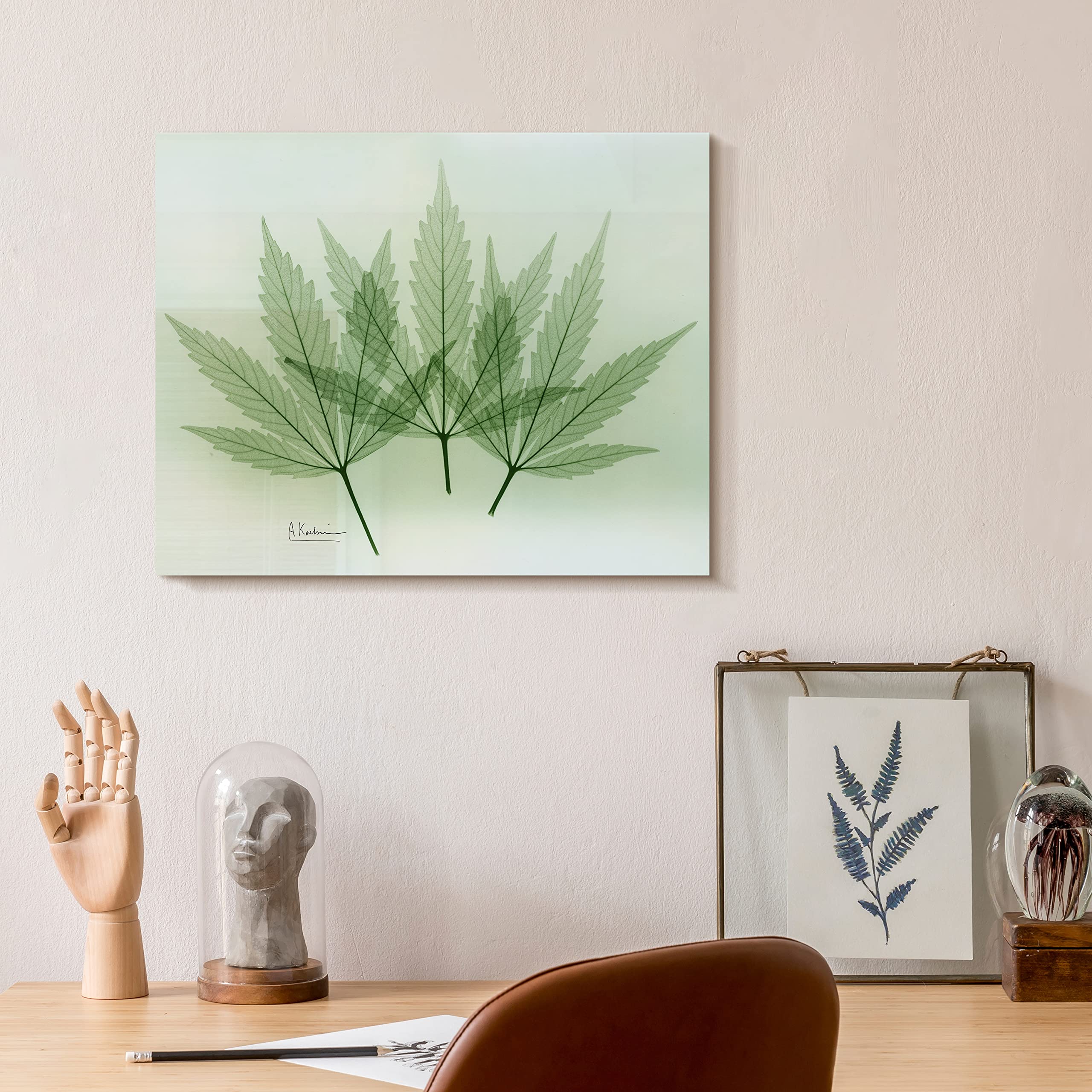 Empire Art Direct Frameless Free Floating Tempered Glass Panel Graphic Wall Art Ready to Hang, 16" x 20", Green Flower Image Empire Art Direct Frameless Free Floating Tempered Glass Panel Graphic Wall Art Ready to Hang, 16" x 20", Green Flower Image