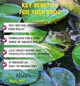 Love Wildlife Wildlife Pond Food 80g – Sinking Pellets for Frogs Toads Newts view 4