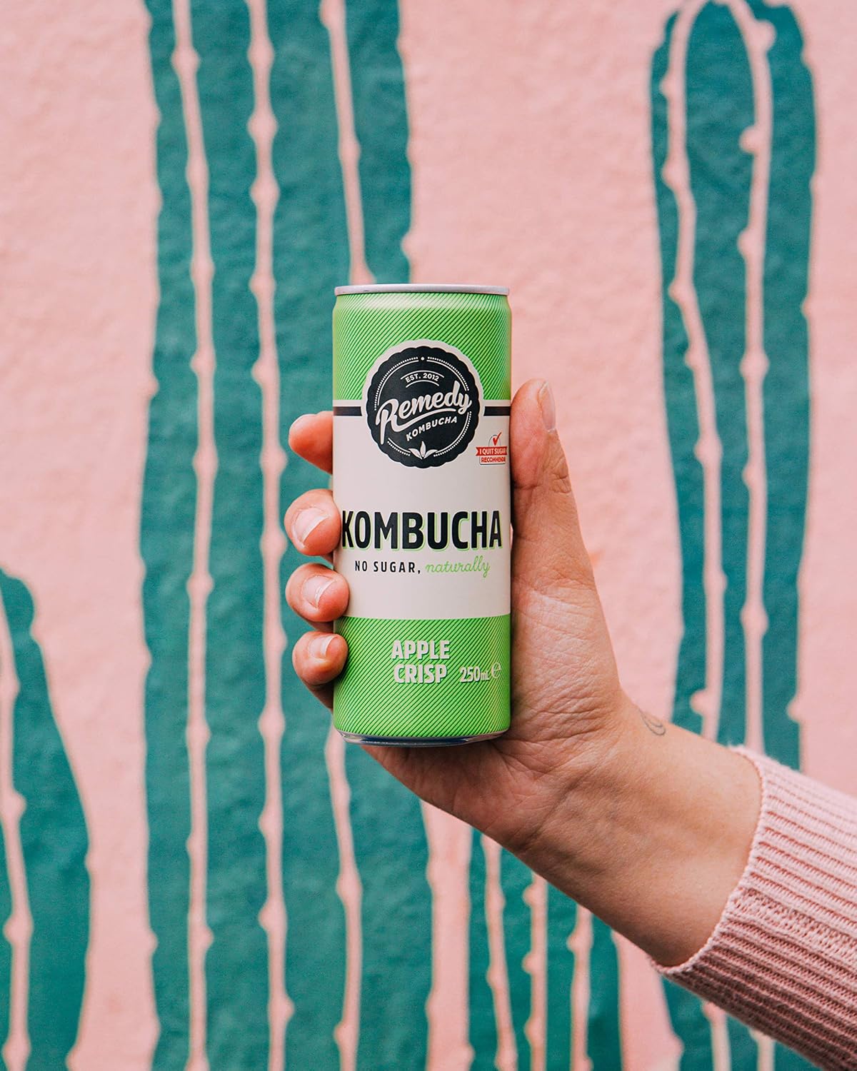 Remedy Kombucha Tea, 4 Flavour Mixed Pack, Sparkling Live Cultured Drink, Naturally Sugar Free Soft Drink - Image 4