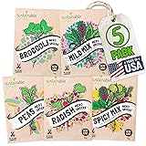 Microgreens Seeds Growing Kit: 5 Micro Green