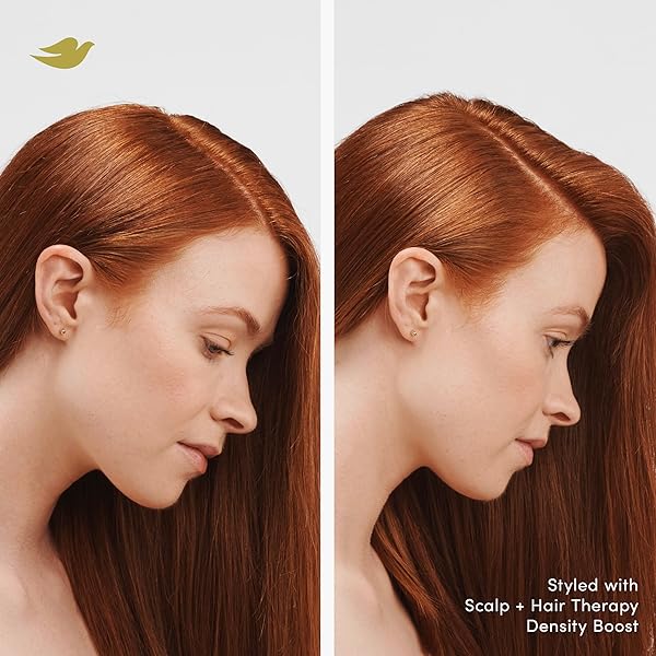 DOVE DENSITY BOOST ROOT LIFT THICKENING SPRAY FOR FULLER HAIR AND SCALP THERAPY, WITH VITAMIN B3, ZINC AND 0% SULFATES, 5 OZ
