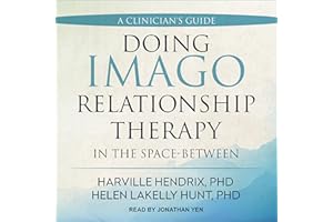 Doing Imago Relationship Therapy in the Space-Between: A Clinician's Guide
