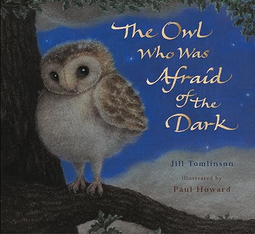 Download The Owl Who Was Afraid of the Dark PDF