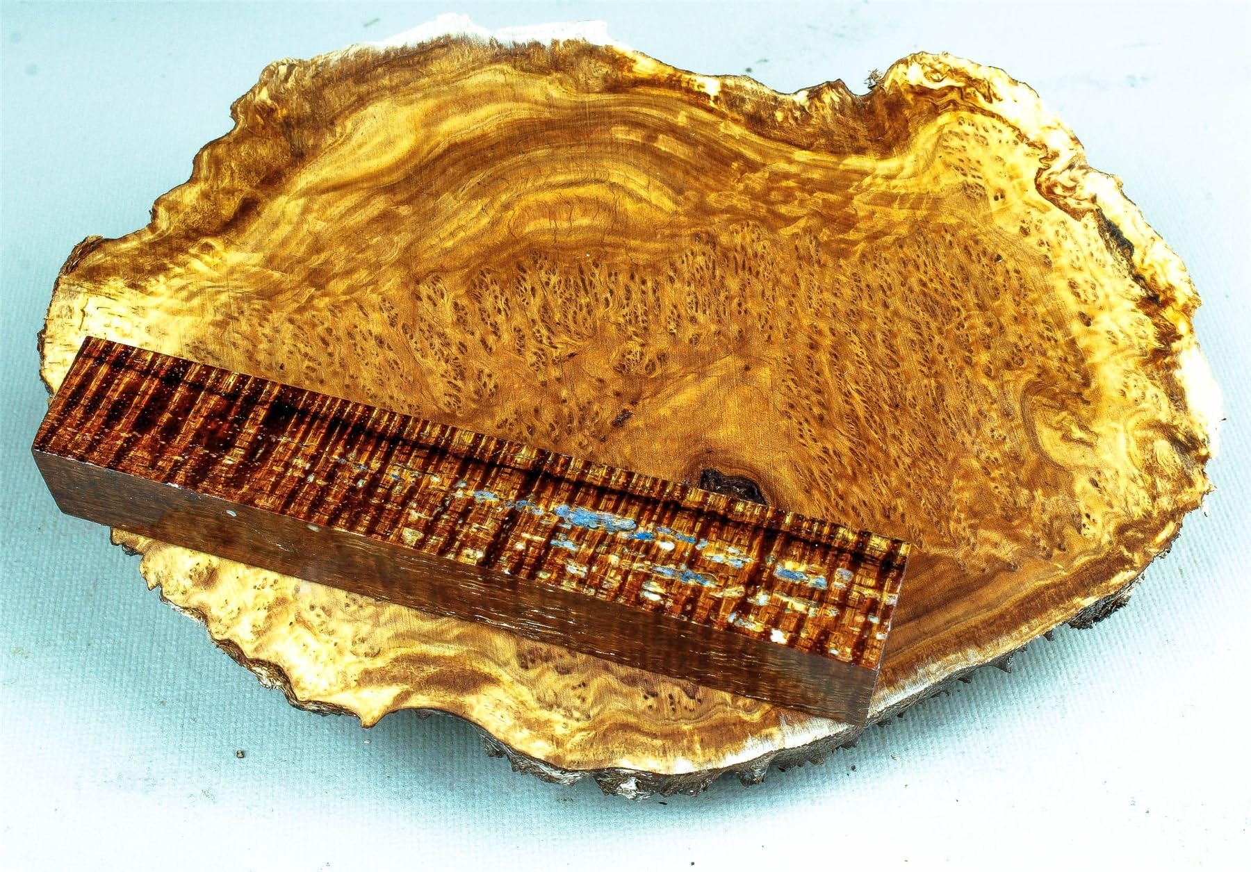 Brown Mallee Live Edge Mini Burl Cap Turning Casting Wood BML1167