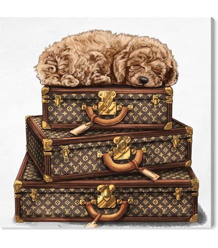 Amazon.com: The Oliver Gal Artist Co. Oliver Gal 'French