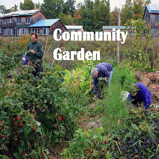 Community Garden: Amazon.es: Appstore para Android