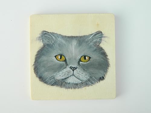 Amazon Com Blue Cream Persian Cat Handpainted On A Wooden Tile