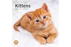 BRIGHT DAY CALENDARS 2024 Kittens Monthly Wall Calendar by Bright Day, 12 x 12 Inch Cute Cat Breed Gift