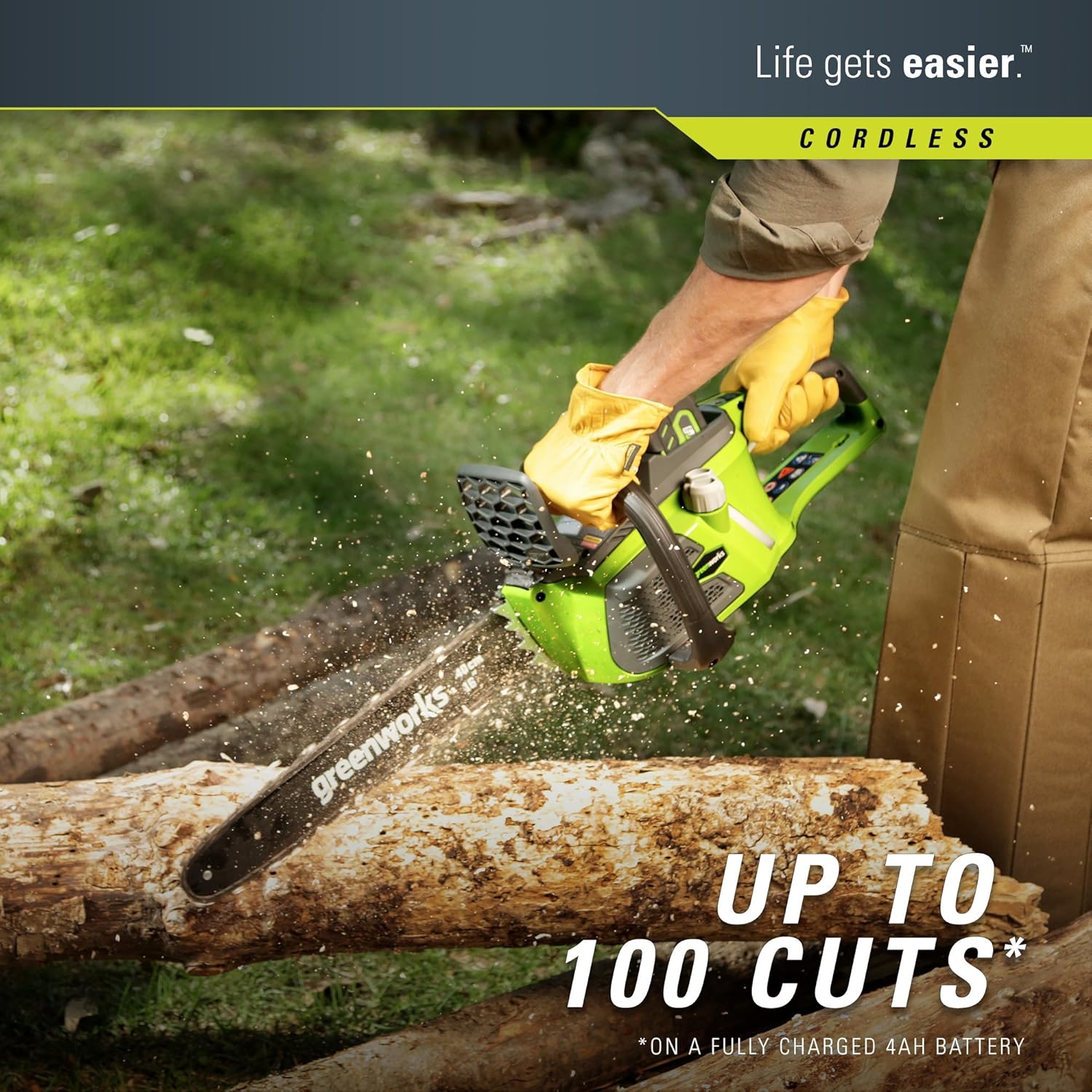 Greenworks 20312 Chainsaws product image 3
