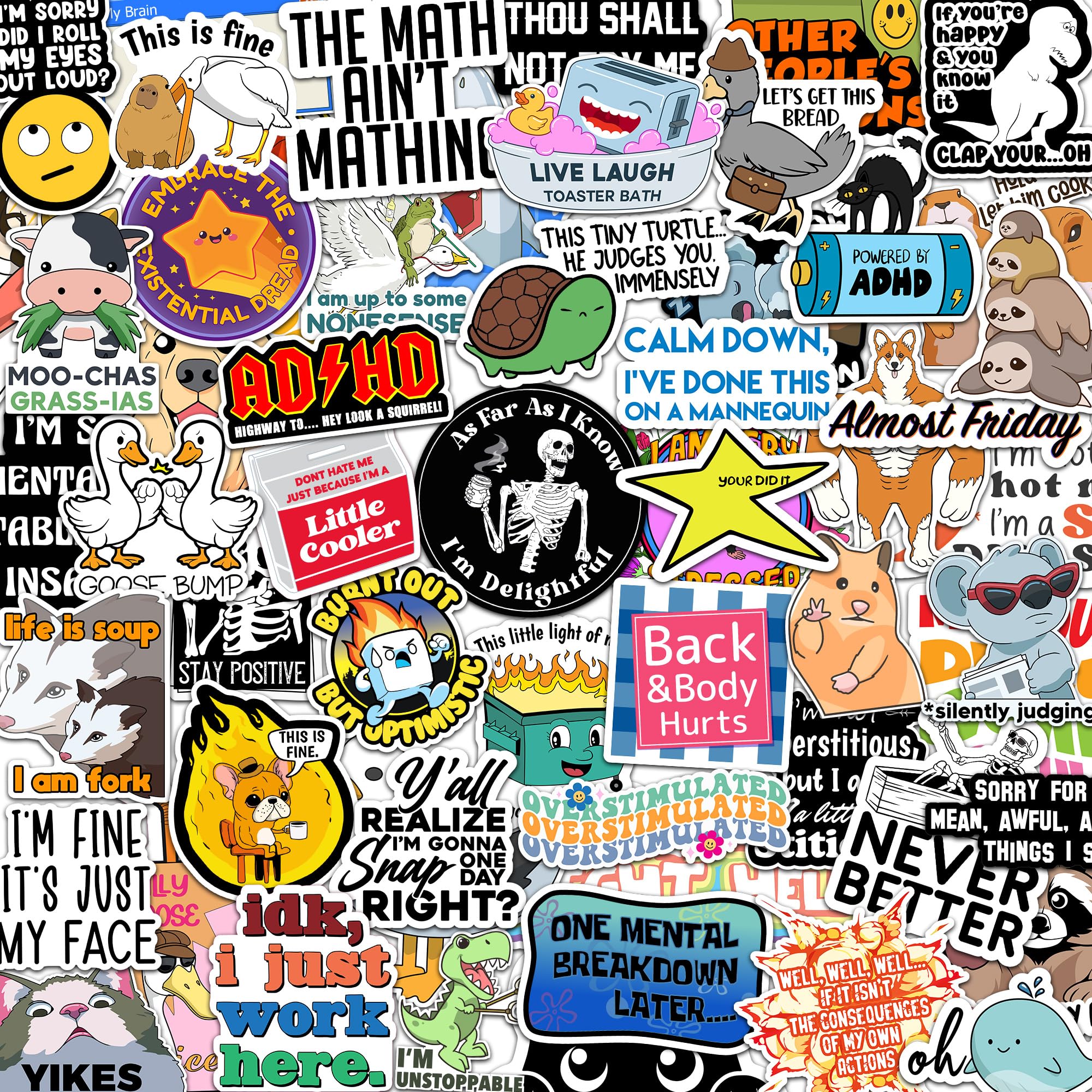 73 Pcs Funny Stickers for Adults Dirty Humor, Water Bottles Waterproof Cool Stickers for Laptop, Bumper, Phone, Hard Hats, Sarcastic, Scrapbooking (73)